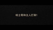 哈士奇和主人打架