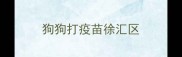 狗狗打疫苗徐汇区