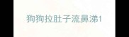 狗狗拉肚子流鼻涕