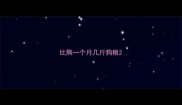 比熊一个月几斤狗粮