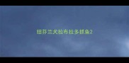 纽芬兰犬拉布拉多抓鱼