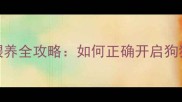 幼犬3-6月龄科学喂养全攻略如何正确开启狗狗独立进食黄金期