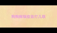 狗狗辉瑞疫苗打几联