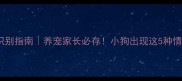 狂犬病症状识别指南养宠家长必存小狗出现这5种情况立即送医