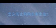 怎么防止狗狗长寄生虫
