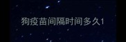 狗疫苗间隔时间多久