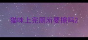 猫咪上完厕所要擦吗