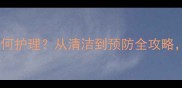 拉布拉多飞耳垂如何护理从清洁到预防全攻略附专业医生建议
