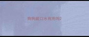 狗狗漱口水有用吗