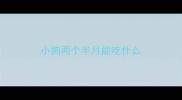 小狗两个半月能吃什么