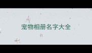 宠物相册名字大全