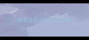 猫咪疫苗不打全可以吗