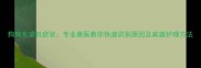 狗狗长浓包症状专业兽医教你快速识别原因及家庭护理方法