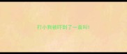 打小狗被吓到了一直叫