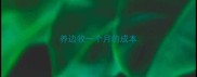 养边牧一个月的成本