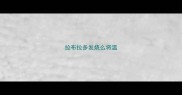 拉布拉多发烧么将温