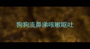 狗狗流鼻涕咳嗽呕吐