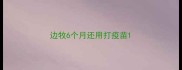 边牧6个月还用打疫苗
