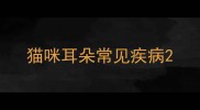 猫咪耳朵常见疾病