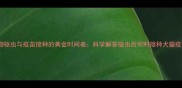 宠物驱虫与疫苗接种的黄金时间表科学解答驱虫后何时接种犬猫疫苗