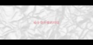 哈士奇外表的特征