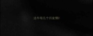 法牛母几个月发情
