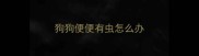 狗狗便便有虫怎么办
