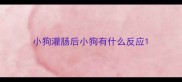 小狗灌肠后小狗有什么反应