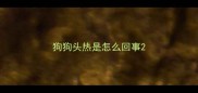 狗狗头热是怎么回事