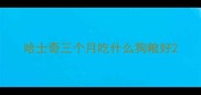 哈士奇三个月吃什么狗粮好