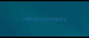 小狗打疫苗后的过敏反应