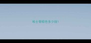 哈士奇粽色多少钱