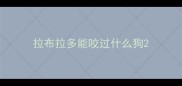 拉布拉多能咬过什么狗