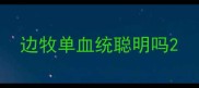 边牧单血统聪明吗