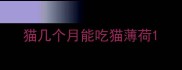 猫几个月能吃猫薄荷