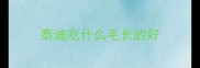 泰迪吃什么毛长的好