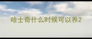 哈士奇什么时候可以养