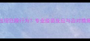 狗狗接种疫苗后出现狂躁行为专业疫苗反应与应对措施附权威指南