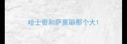 哈士奇和萨莫耶那个大