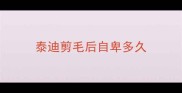 泰迪剪毛后自卑多久