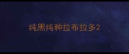 纯黑纯种拉布拉多