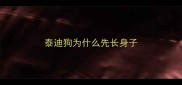 泰迪狗为什么先长身子