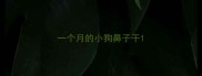 一个月的小狗鼻子干