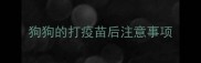 狗狗的打疫苗后注意事项