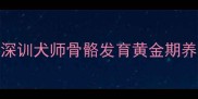 史宾格犬3岁仍像幼犬资深训犬师骨骼发育黄金期养护指南附90天窜高对照表