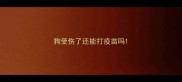 狗受伤了还能打疫苗吗