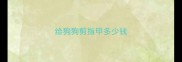 给狗狗剪指甲多少钱