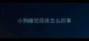 小狗睡觉尿床怎么回事