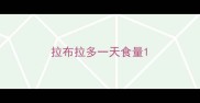 拉布拉多一天食量