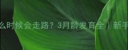比熊幼犬什么时候会走路3月龄发育全新手必看养狗指南